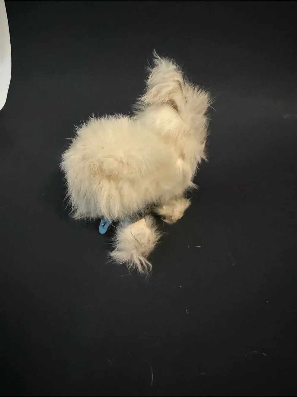 Antique Wind-up Real Fur Bunny Toy